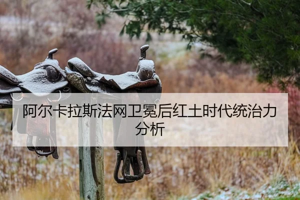a-er-ka-la-si-fa-wang-wei-mian-hou-hong-tu-shi-dai-tong-zhi-li-fen-xi-2-842.jpg