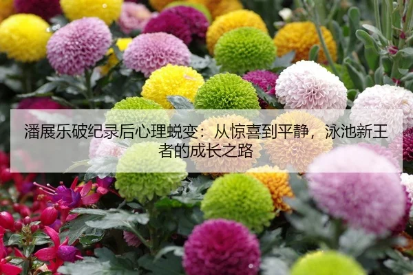 潘展乐破纪录后心理蜕变：从惊喜到平静，泳池新王者的成长之路