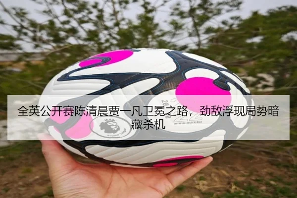 quan-ying-gong-kai-sai-chen-qing-chen-jia-yi-fan-wei-mian-zhi-lu-jing-di-fu-xian-ju-shi-an-cang-sha-ji-2-301.jpg