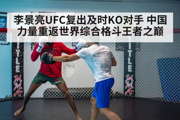 李景亮UFC复出及时KO对手 中国力量重返世界综合格斗王者之巅